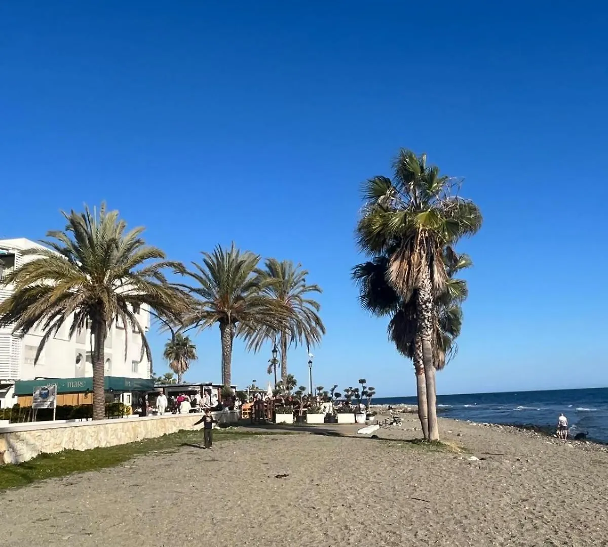 Apartment Beachfront San Pedro Alcantara Marbella